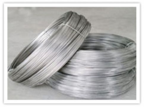 Stainless Steel Wire Mesh